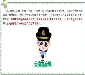 云南省野生菌中毒防控知識(shí)宣傳專(zhuān)輯——旅游篇